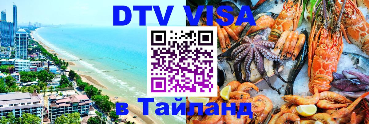 Оформление DTV визы под ключ: стоимость и тарифы, только загранпаспорт - Дамаск  19.11.2025 