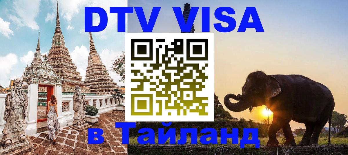 Оформление DTV визы под ключ: стоимость и тарифы, только загранпаспорт - 